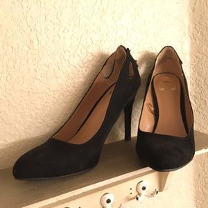 Black Suede Tasseled Charming Charlie Work Pumps